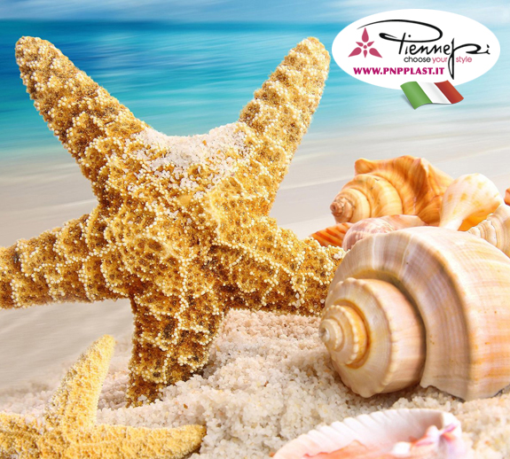 Seastar and Shells HD