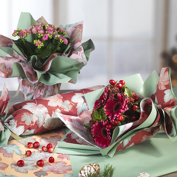 Prodotto Promotional Line